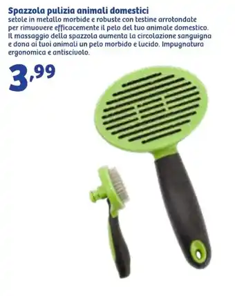 In'S Mercato Spazzola pulizia animali domestici offerta