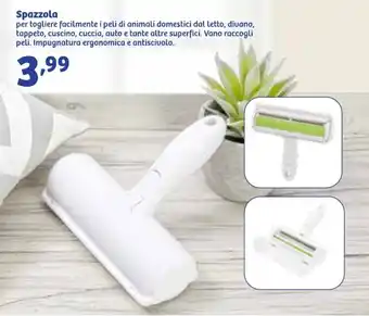 In'S Mercato Spazzola offerta