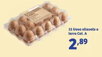 In'S Mercato 15 Uova allevate a terra offerta