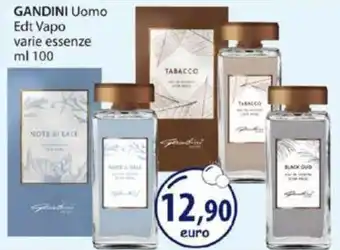 GANDINI Uomo Edt Vapo varie essenze ml 100