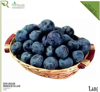 Conad Consorzio Ori Del Lazio Susine Angeleno offerta