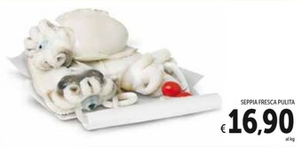 Conad Seppia Fresca Pulita offerta