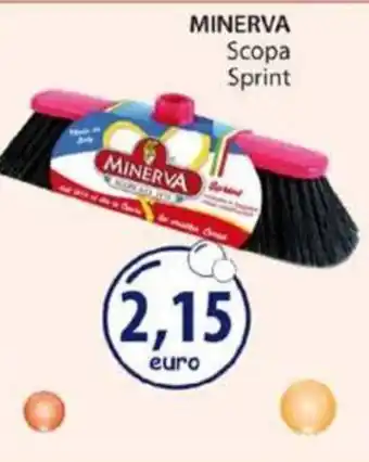 Acqua & Sapone MINERVA Scopa Sprint offerta