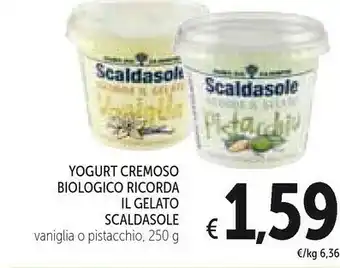 Conad Scaldasole Yogurt Cremoso offerta