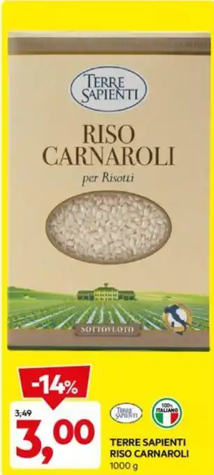 DPiù TERRE SAPIENTI RISO CARNAROLI 1000 g offerta