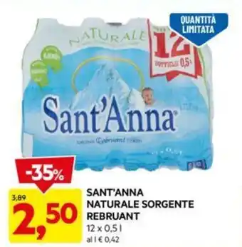 DPiù SANT'ANNA NATURALE SORGENTE REBRUANT 12 x 0,5 l offerta
