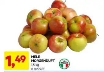 DPiù MELE MORGENDUFT 1,5 kg offerta