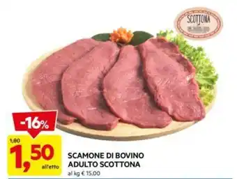 DPiù SCAMONE DI BOVINO ADULTO SCOTTONA offerta