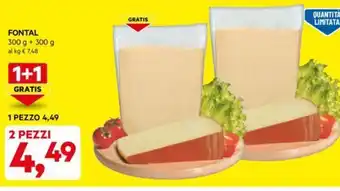 FONTAL 300 g + 300 g
