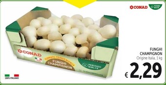 Conad Funghi Champignon offerta