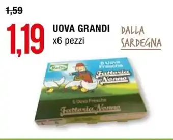 Hardis UOVA GRANDI x6 pezzi offerta