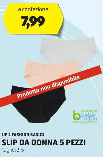 ALDI UP 2 FASHION BASICS SLIP DA DONNA 5 PEZZI taglie: 2-5 offerta