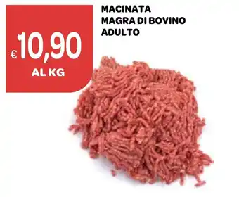 Ekom MACINATA MAGRA DI BOVINO ADULTO offerta