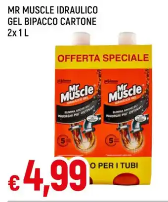 Famila MR MUSCLE IDRAULICO GEL BIPACCO CARTONE 2x1L offerta