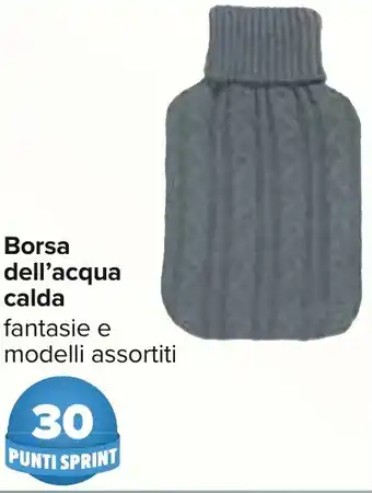 Carrefour Borsa dell'acqua calda offerta
