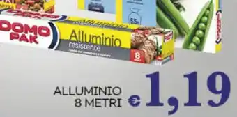 Pilato ALLUMINIO 8 METRI offerta