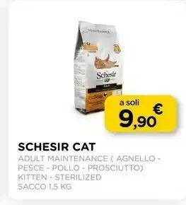 Arcaplanet Schesir Cat Adult Maintance offerta