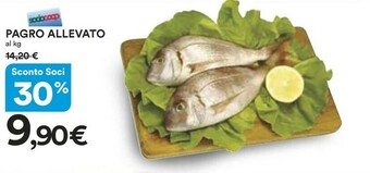Coop Pesce offerta