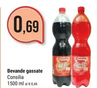 Supermercati Gulliver Consilia Ginger 1500ml offerta