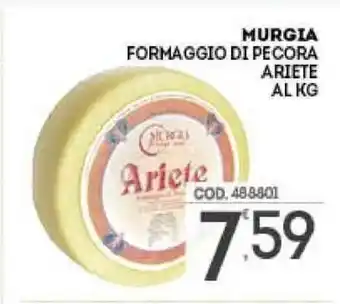 Eurocash Murgia Formaggio Di Pecora Ariete offerta