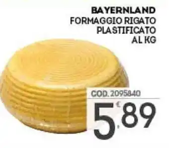 Eurocash Bayernland Formaggio Rigato Plastificato offerta