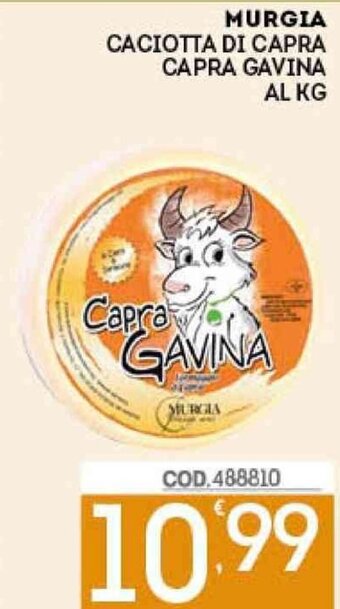 Murgia Caciotta Di Capra Capra Gavina