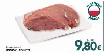 Altasfera Scamone di BOVINO ADULTO offerta