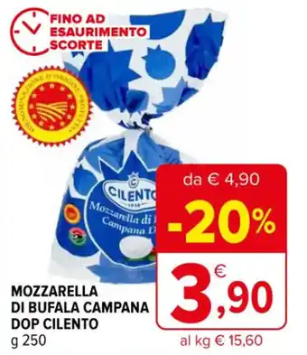 Iperal MOZZARELLA DI BUFALA CAMPANA DOP CILENTO g 250 offerta