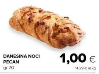 Oasi DANESINA NOCI PECAN gr 70 offerta