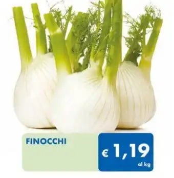 MD Discount FINOCCHI offerta
