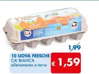 MD Discount 10 UOVA FRESCHE CA' BIANCA allevamento a terra offerta