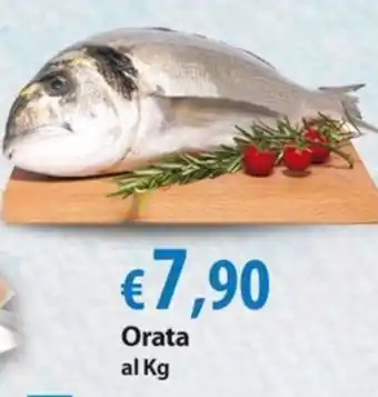 Extra Supermercati Orata al Kg offerta