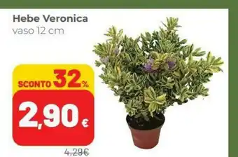 Coop Hebe Veronica Vaso offerta