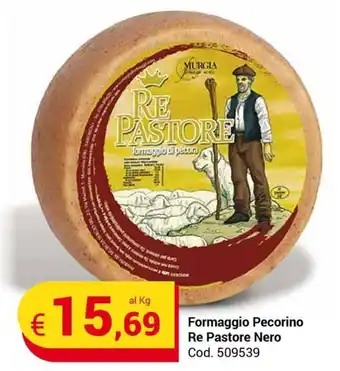 Centro Cash Formaggio Pecorino Re Pastore Nero offerta