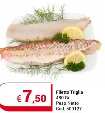 Centro Cash Filetto Triglia 480 Gr Peso Netto offerta
