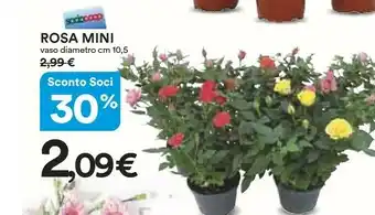 Ipercoop Rosa Mini offerta