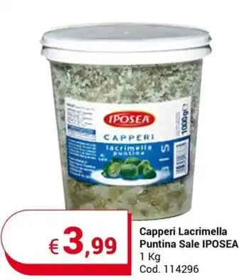 Capperi Lacrimella Puntina Sale IPOSEA 1 kg