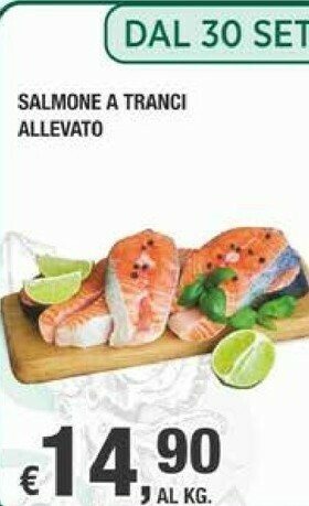 Crai Salmone offerta