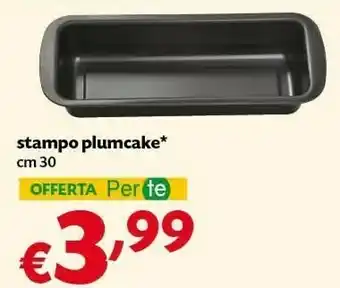 Pam Stampo Plumcake Cm 30 offerta