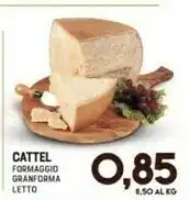 Gran Risparmio Cattel Formaggio Granforma offerta