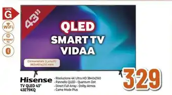 Expert Hisense TV QLED 43" 43E79KQ offerta