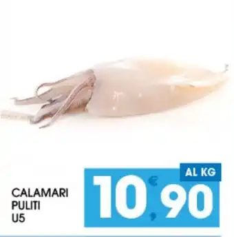 SeBón Supermercati CALAMARI PULITI U5 offerta