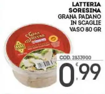 Eurocash Latteria Soresina Grana Padano in Scaglie Vaso 80gr offerta