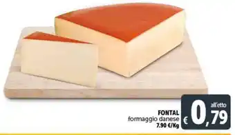 Deco Supermercati FONTAL formaggio danese offerta