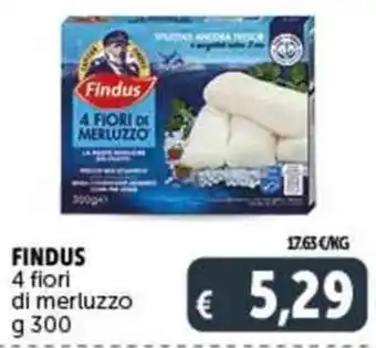 Deco Supermercati FINDUS 4 fiori di merluzzo g 300 offerta