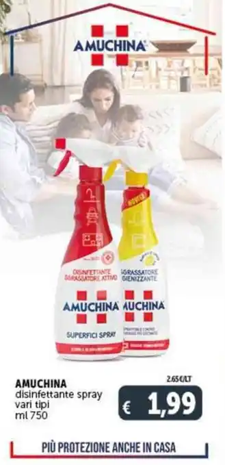 Deco Supermercati AMUCHINA disinfettante spray vari tipi ml 750 offerta