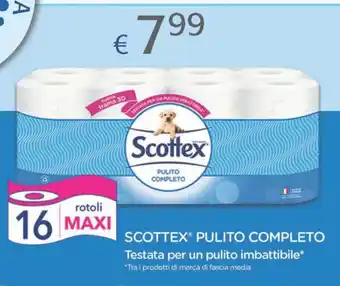 Acqua & Sapone SCOTTEX PULITO COMPLETO offerta