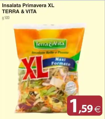 Docks Cash&Carry Insalata Primavera XL TERRA & VITA g 500 offerta