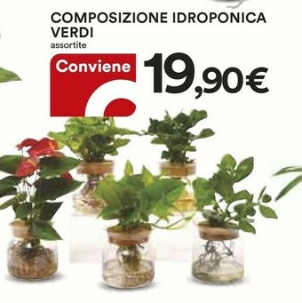 Coop Composizione Idroponica Verdi offerta
