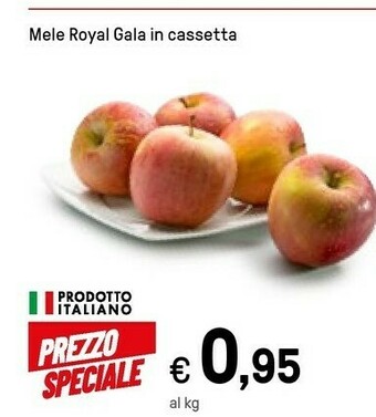 Royal Mele Gala In Cassetta